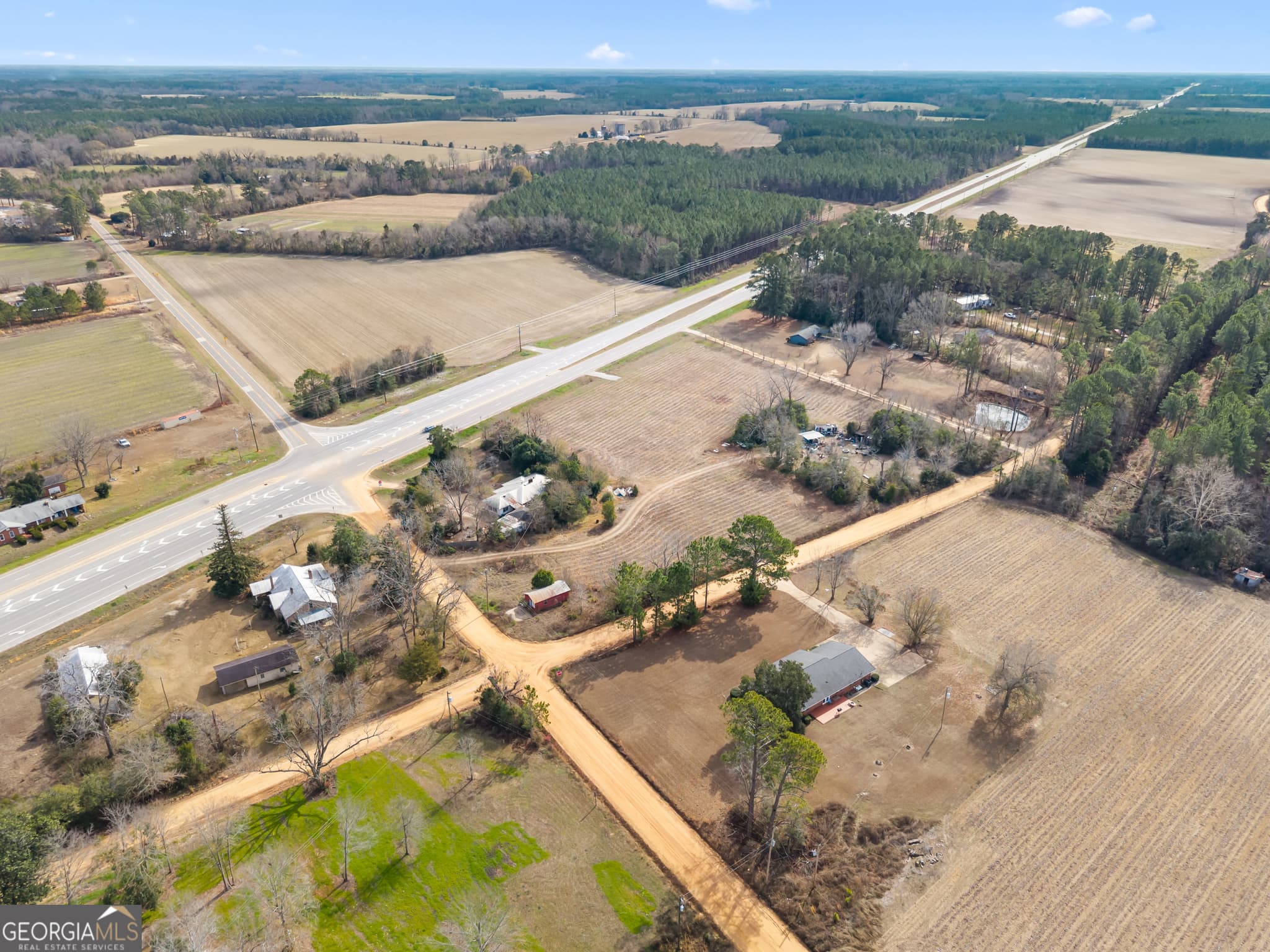 agriculture for sale at 12955 Highway 67, Statesboro, GA 30458 — photo 7