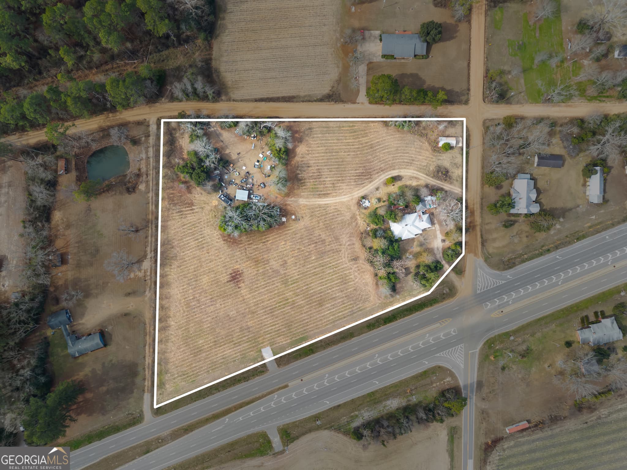 agriculture for sale at 12955 Highway 67, Statesboro, GA 30458 — photo 3
