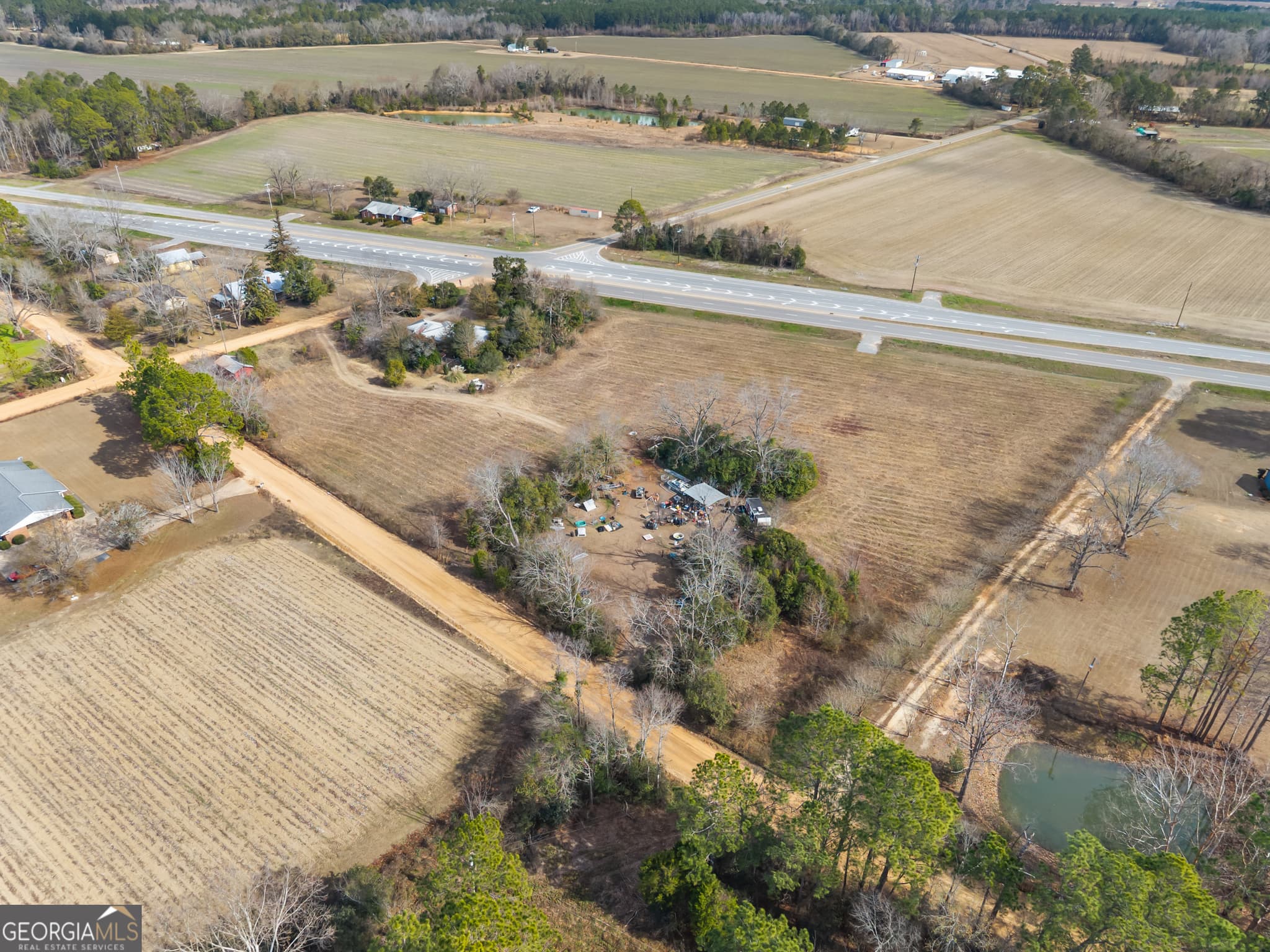 agriculture for sale at 12955 Highway 67, Statesboro, GA 30458 — photo 9