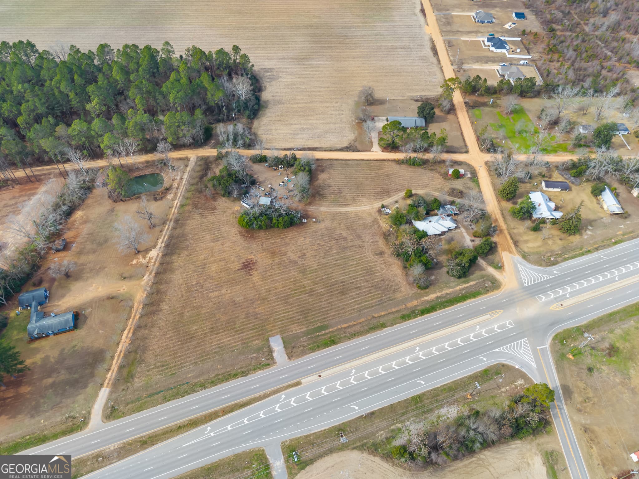 agriculture for sale at 12955 Highway 67, Statesboro, GA 30458 — photo 4