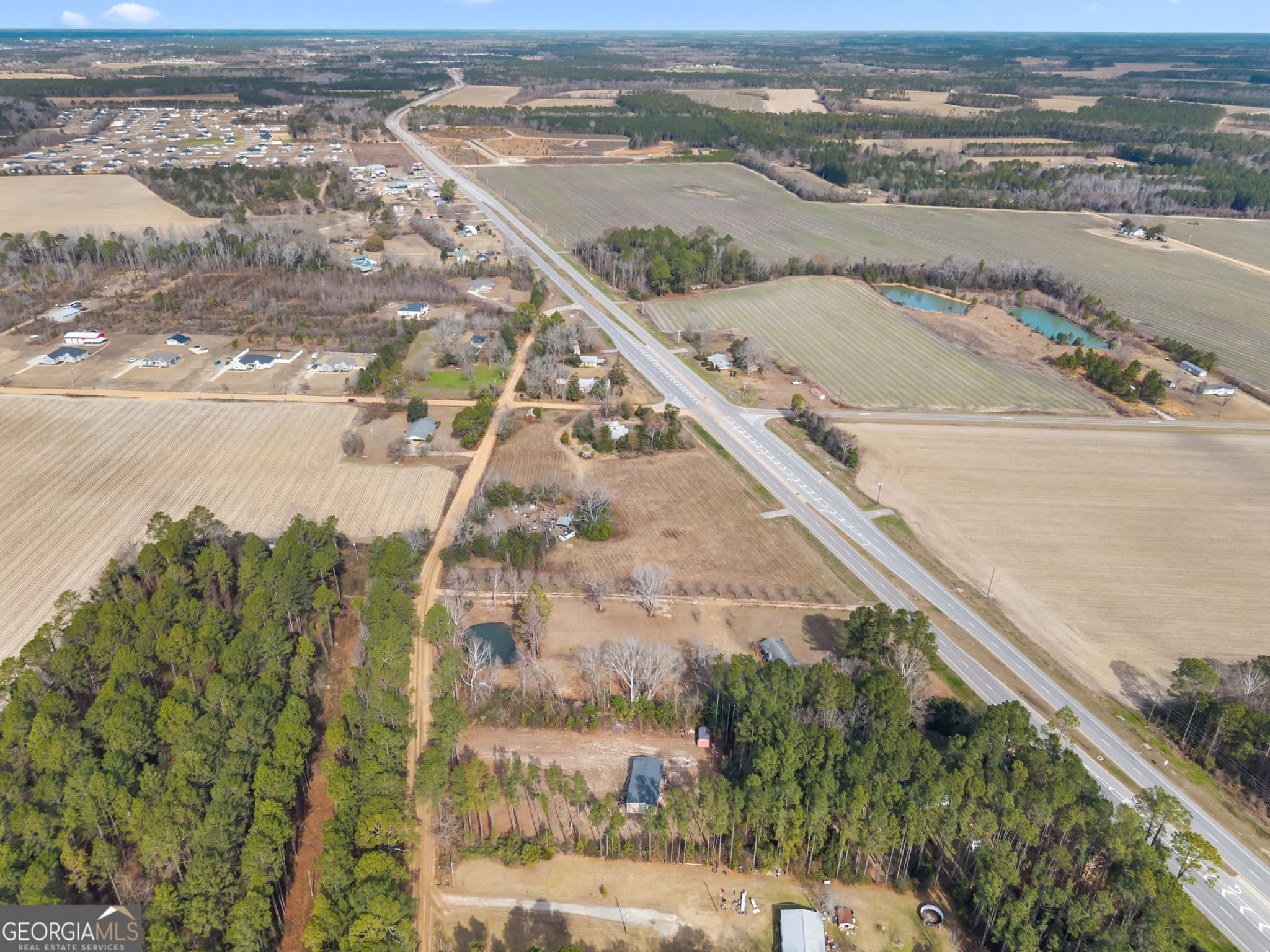 agriculture for sale at 12955 Highway 67, Statesboro, GA 30458 — photo 8