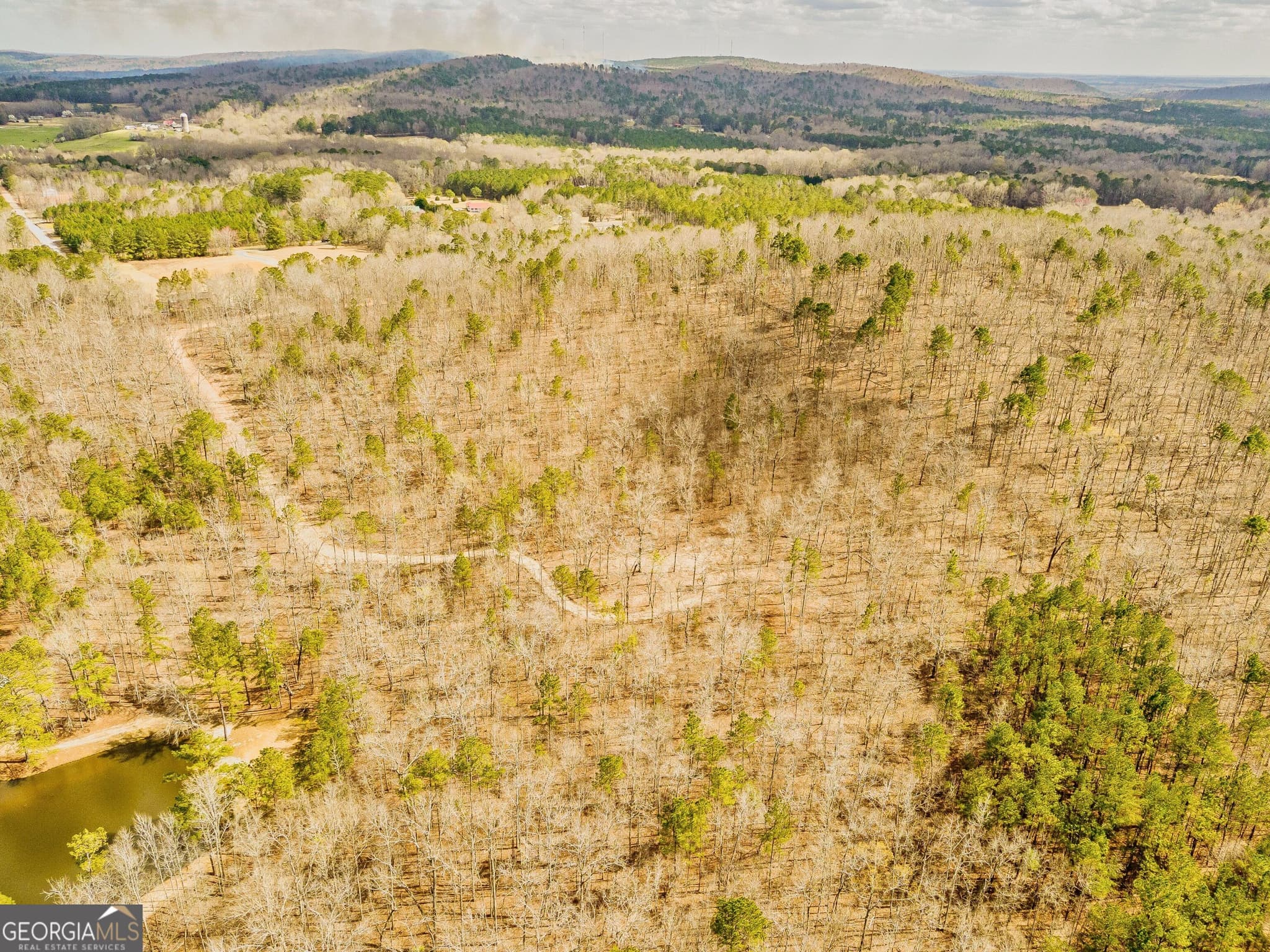 unimproved land for sale at 2943 Weems Road, Molena, GA 30258 — photo 6