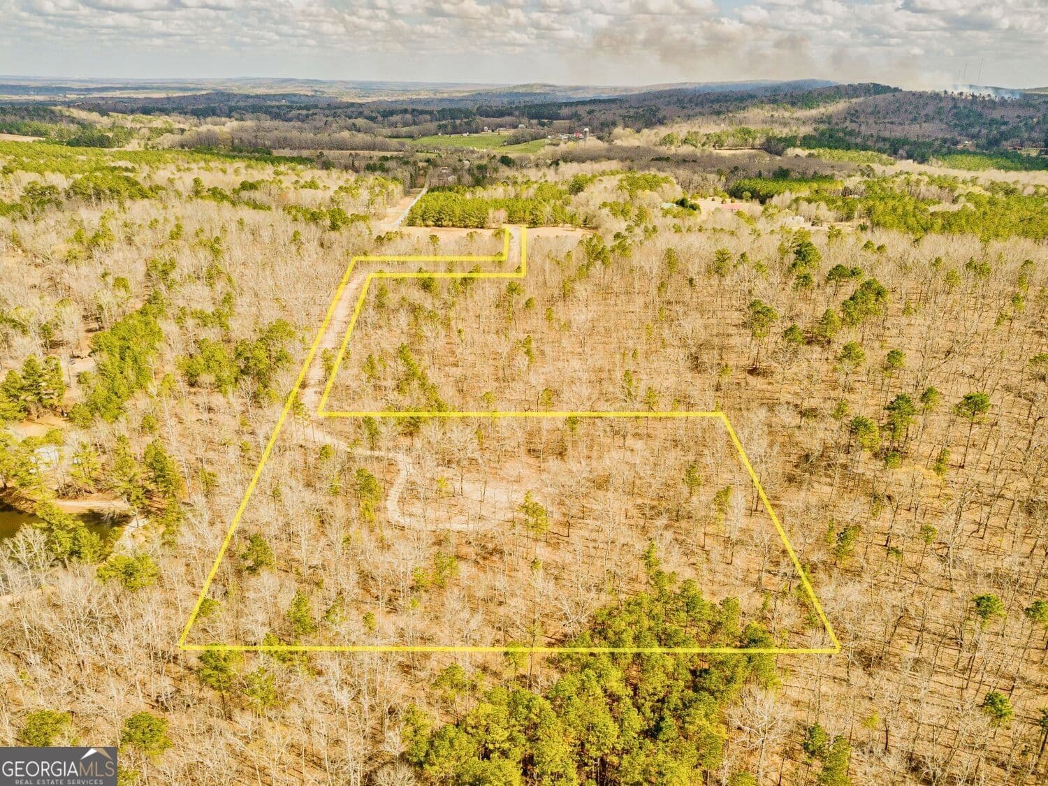 unimproved land for sale at 2943 Weems Road, Molena, GA 30258 — photo 7