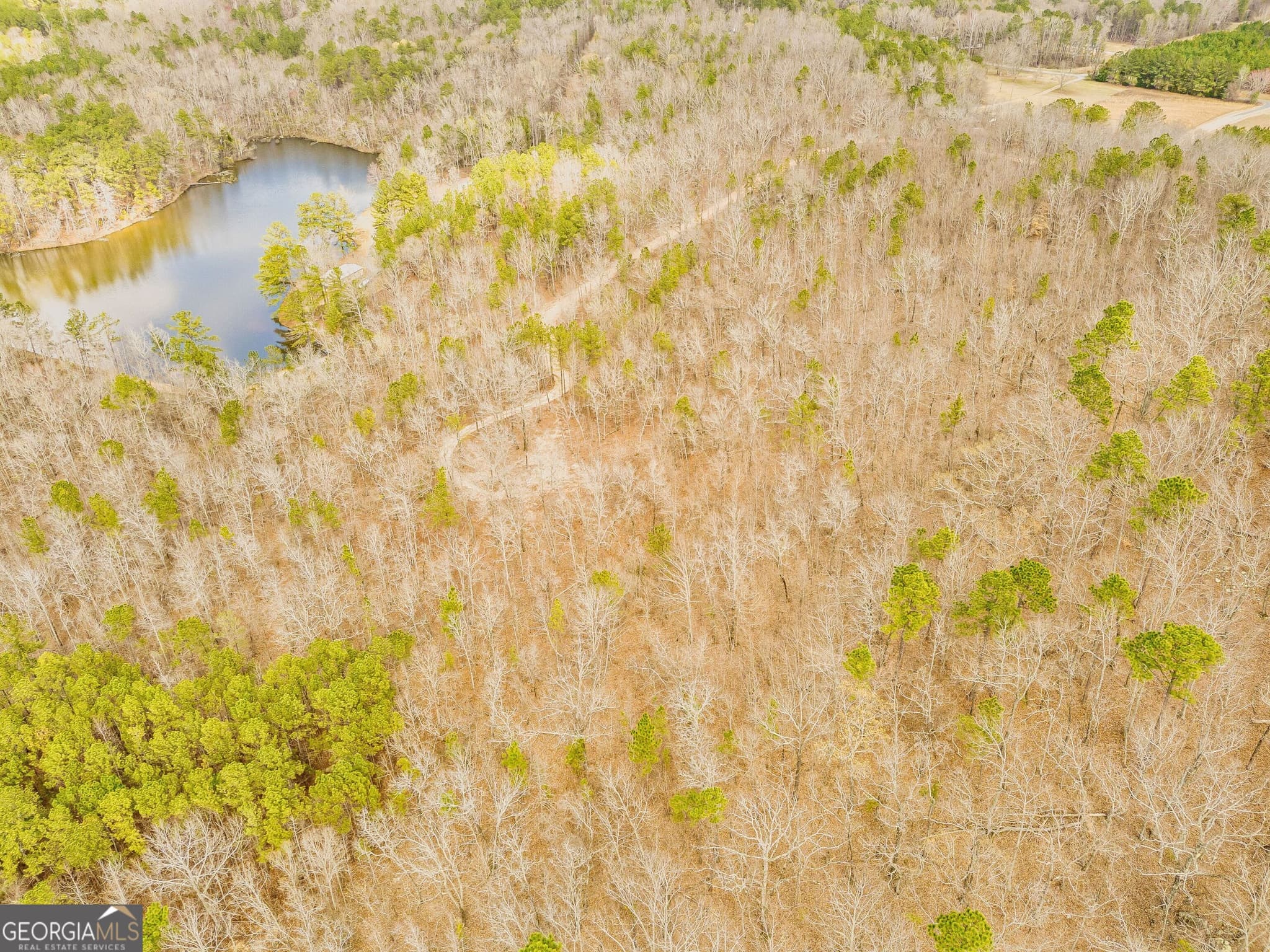 unimproved land for sale at 2943 Weems Road, Molena, GA 30258 — photo 3