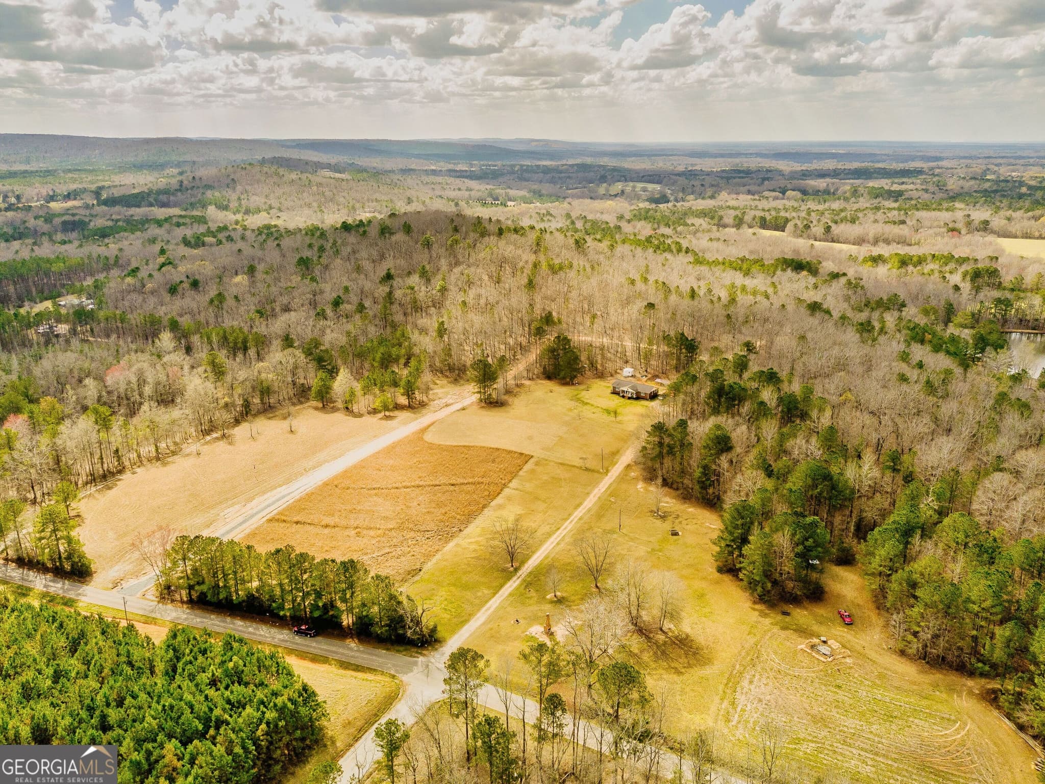 unimproved land for sale at 2943 Weems Road, Molena, GA 30258 — photo 5