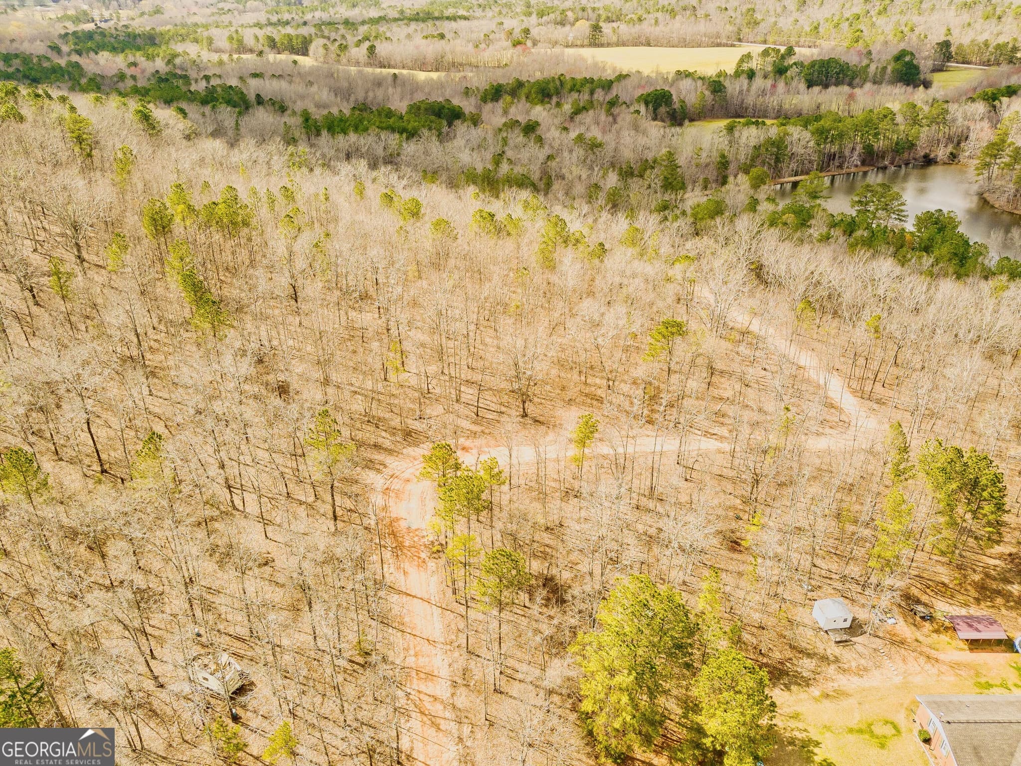 unimproved land for sale at 2943 Weems Road, Molena, GA 30258 — photo 4