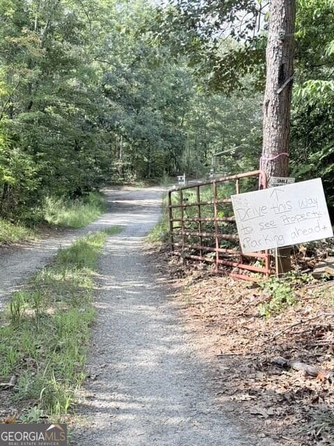 unimproved land for sale at 0 Rusty G Place, Dawsonville, GA 30534 — photo 6