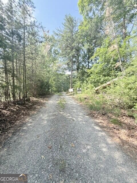 unimproved land for sale at 0 Rusty G Place, Dawsonville, GA 30534 — photo 7