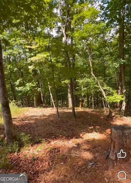 unimproved land for sale at 0 Rusty G Place, Dawsonville, GA 30534 — photo 3