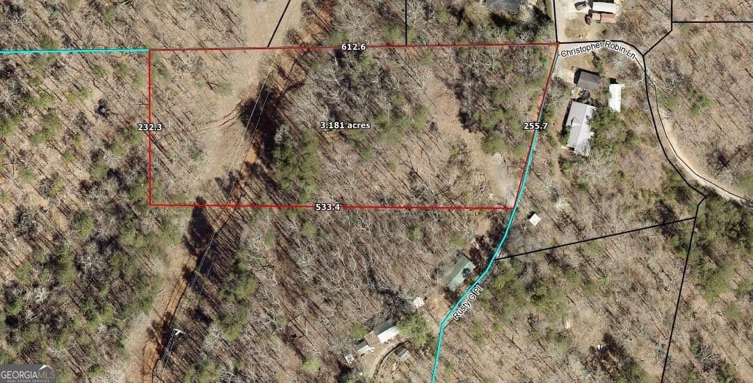 unimproved land for sale at 0 Rusty G Place, Dawsonville, GA 30534 — photo 1 of 8