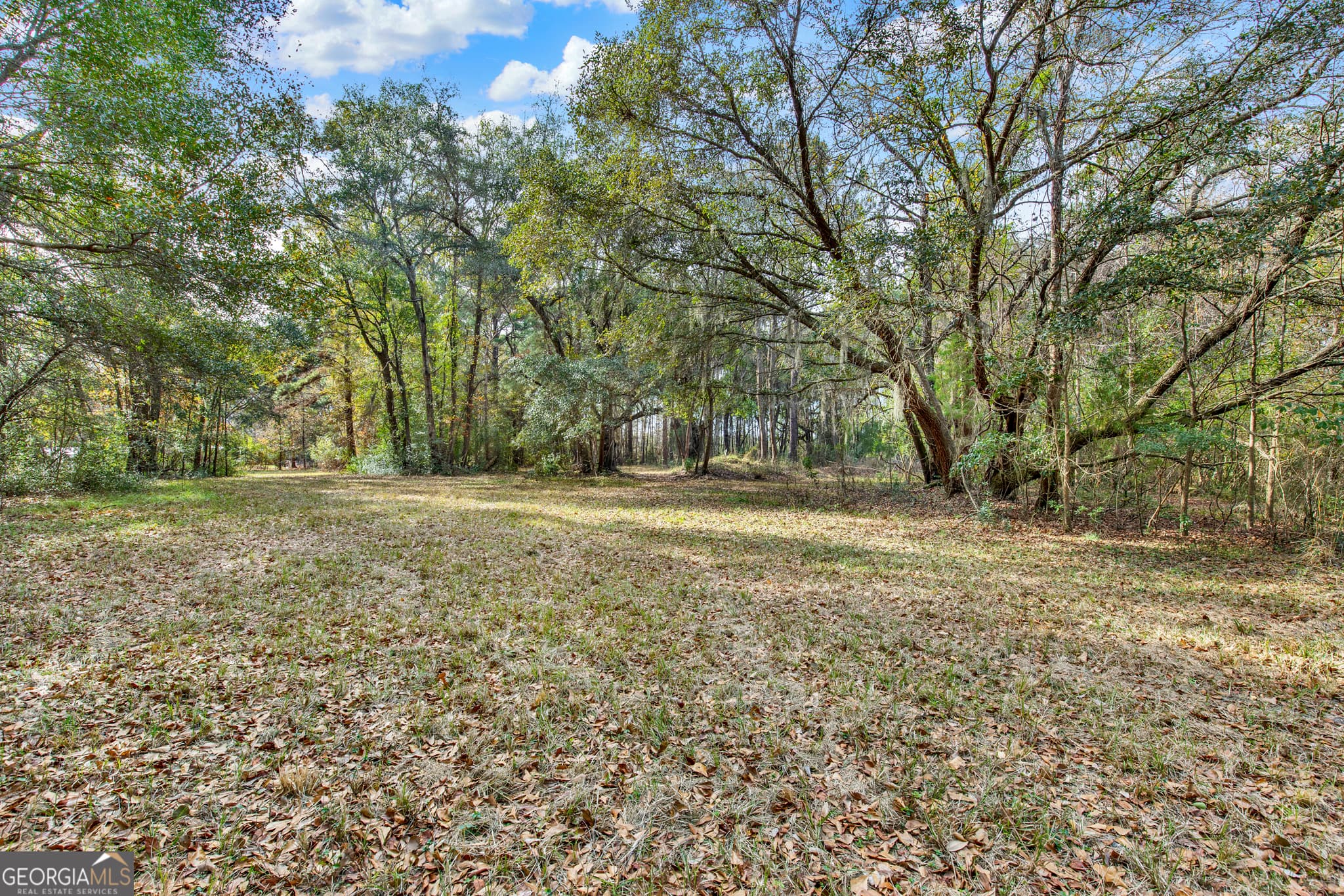 residential lot for sale at 193 Burton Road, Savannah, GA 31405 — photo 7