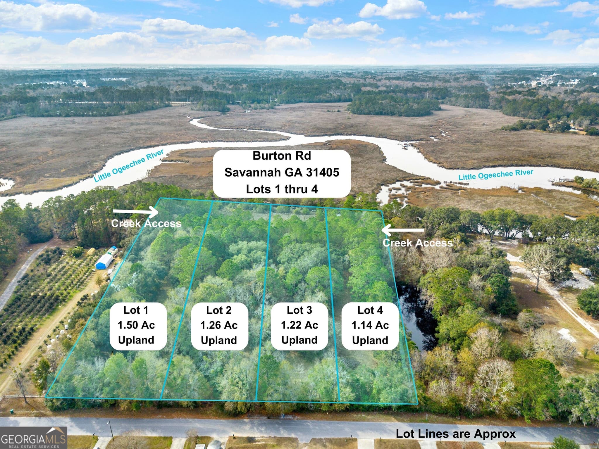 residential lot for sale at 193 Burton Road, Savannah, GA 31405 — photo 3