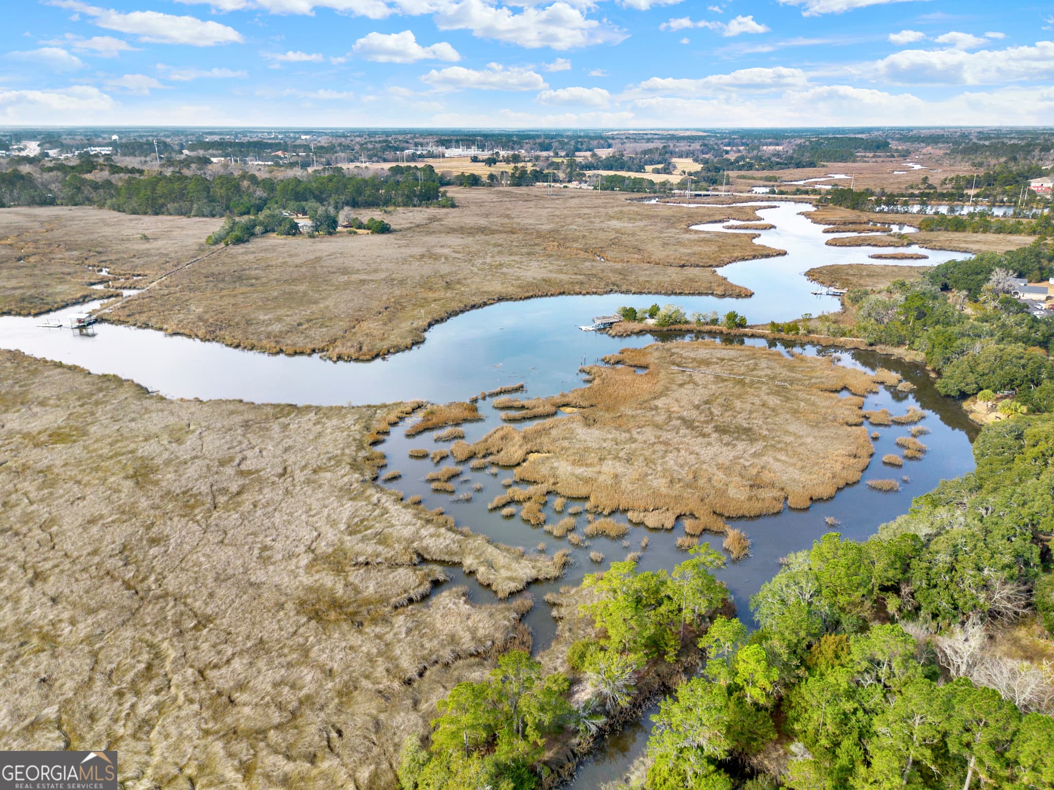 residential lot for sale at 193 Burton Road, Savannah, GA 31405 — photo 5