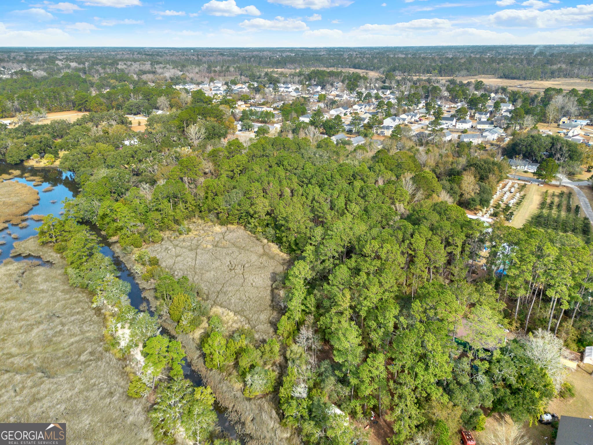 residential lot for sale at 193 Burton Road, Savannah, GA 31405 — photo 9