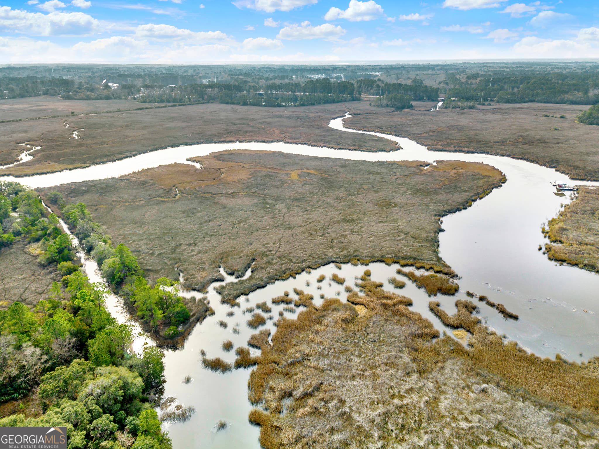 residential lot for sale at 193 Burton Road, Savannah, GA 31405 — photo 4