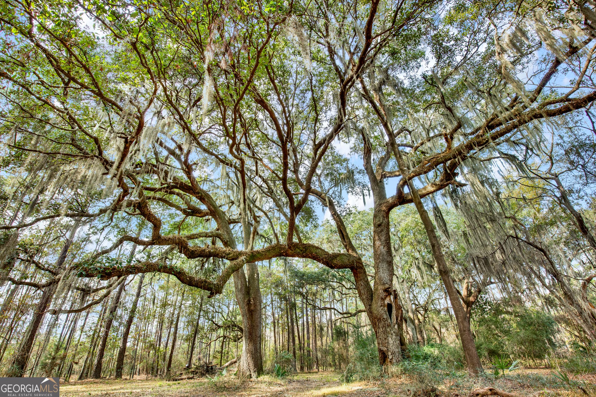 residential lot for sale at 193 Burton Road, Savannah, GA 31405 — photo 8