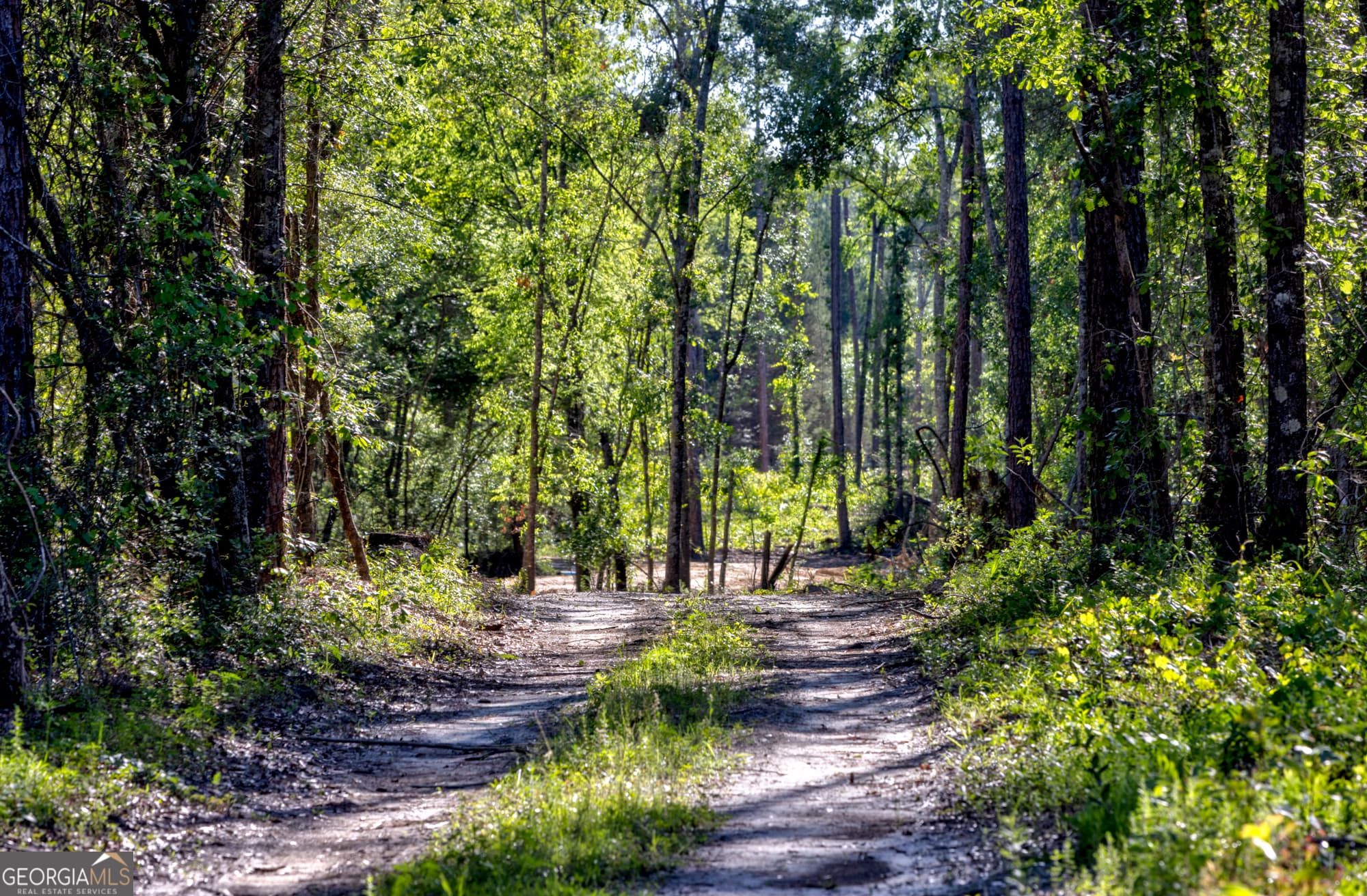 agriculture for sale at 0 Robinson Road, Baconton, GA 31716 — photo 6