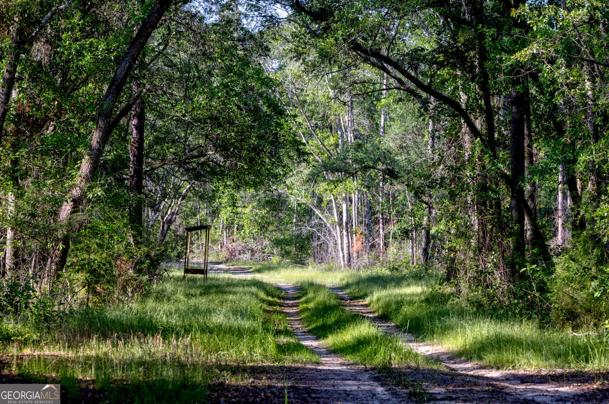 agriculture for sale at 0 Robinson Road, Baconton, GA 31716 — photo 3