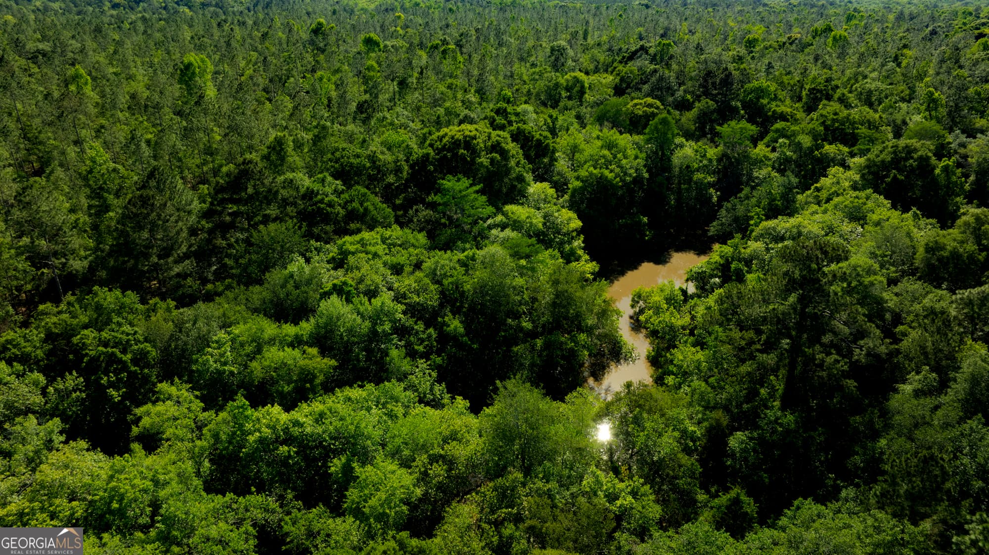 agriculture for sale at 0 Robinson Road, Baconton, GA 31716 — photo 1 of 47
