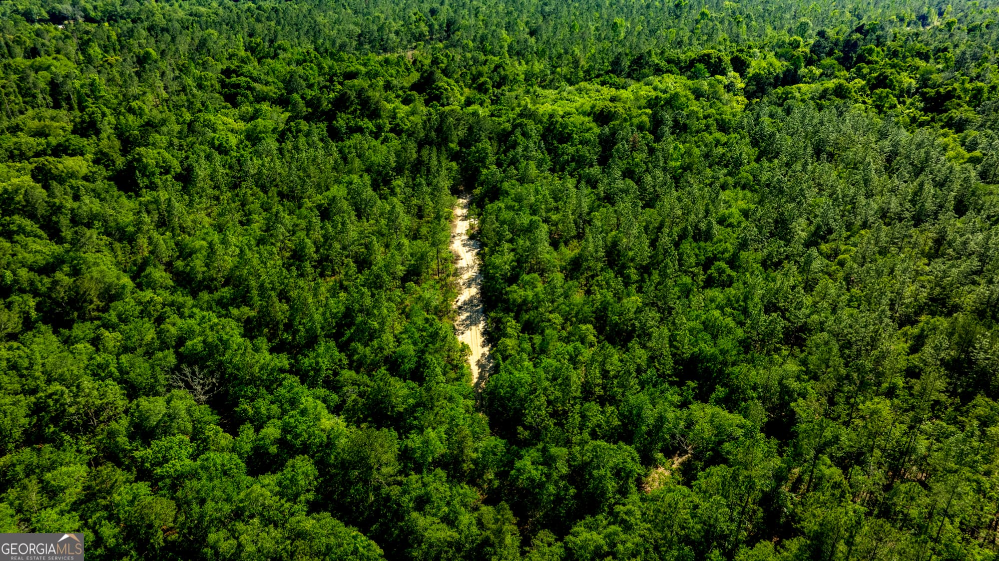 agriculture for sale at 0 Robinson Road, Baconton, GA 31716 — photo 10