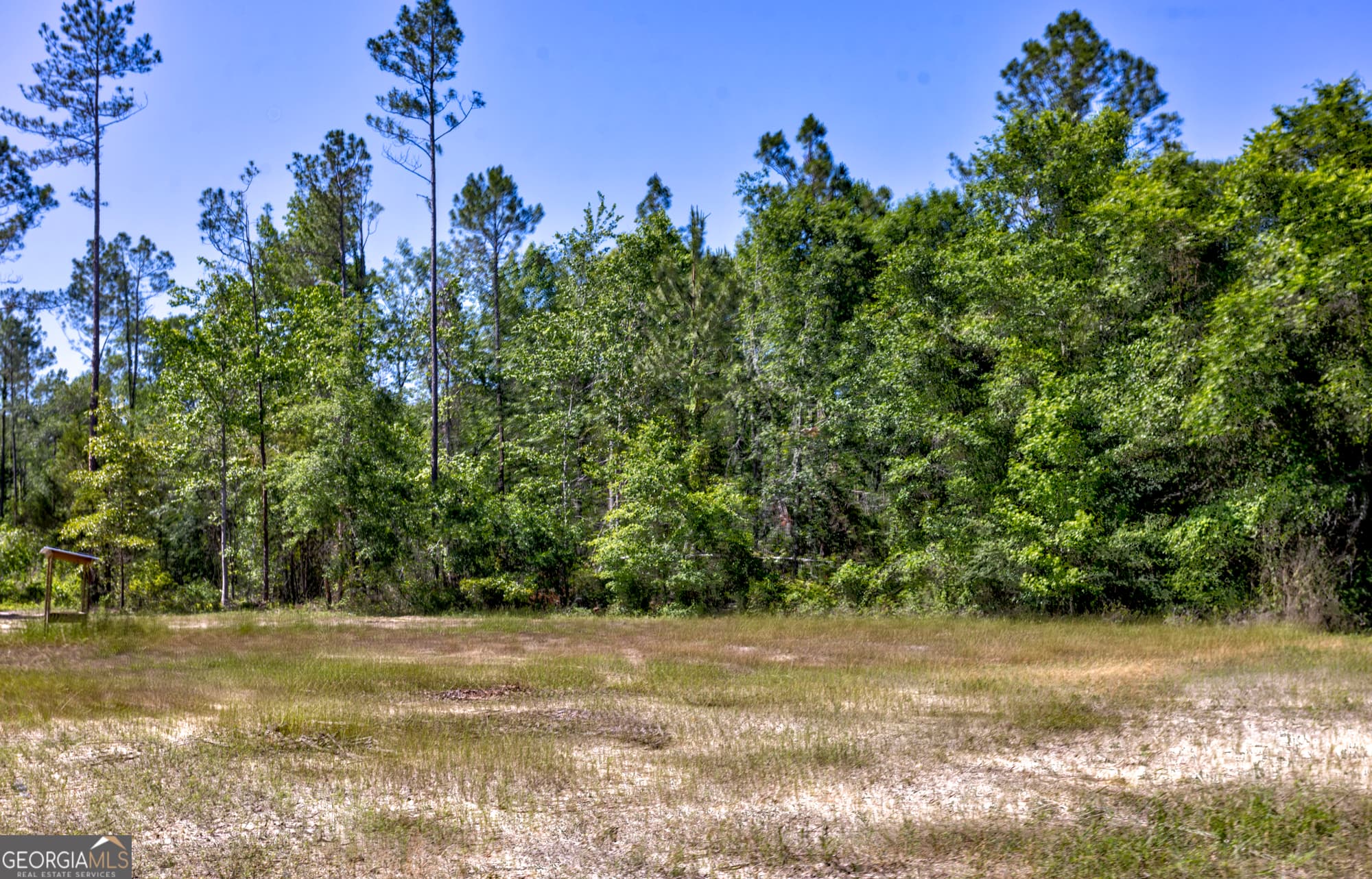 agriculture for sale at 0 Robinson Road, Baconton, GA 31716 — photo 4