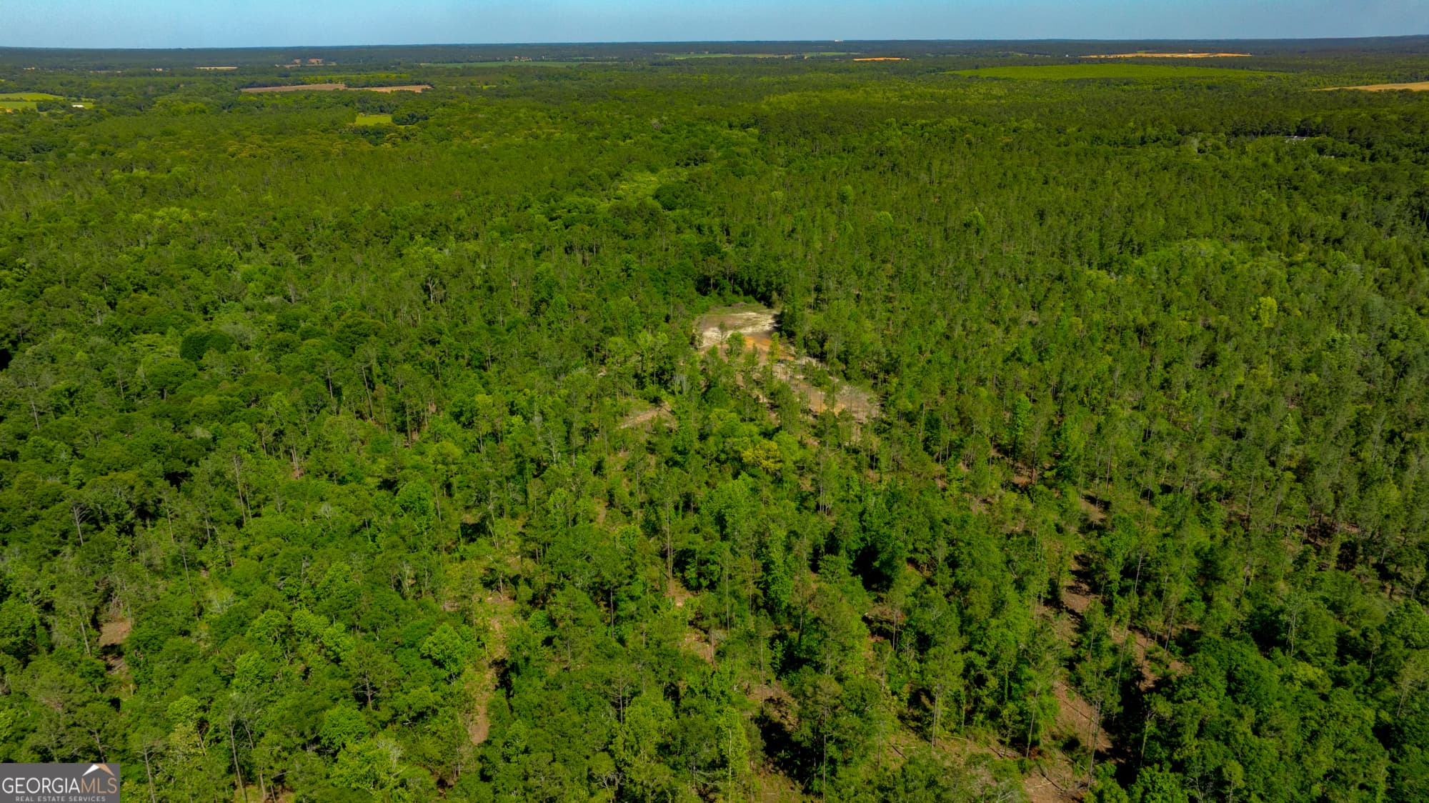 agriculture for sale at 0 Robinson Road, Baconton, GA 31716 — photo 8