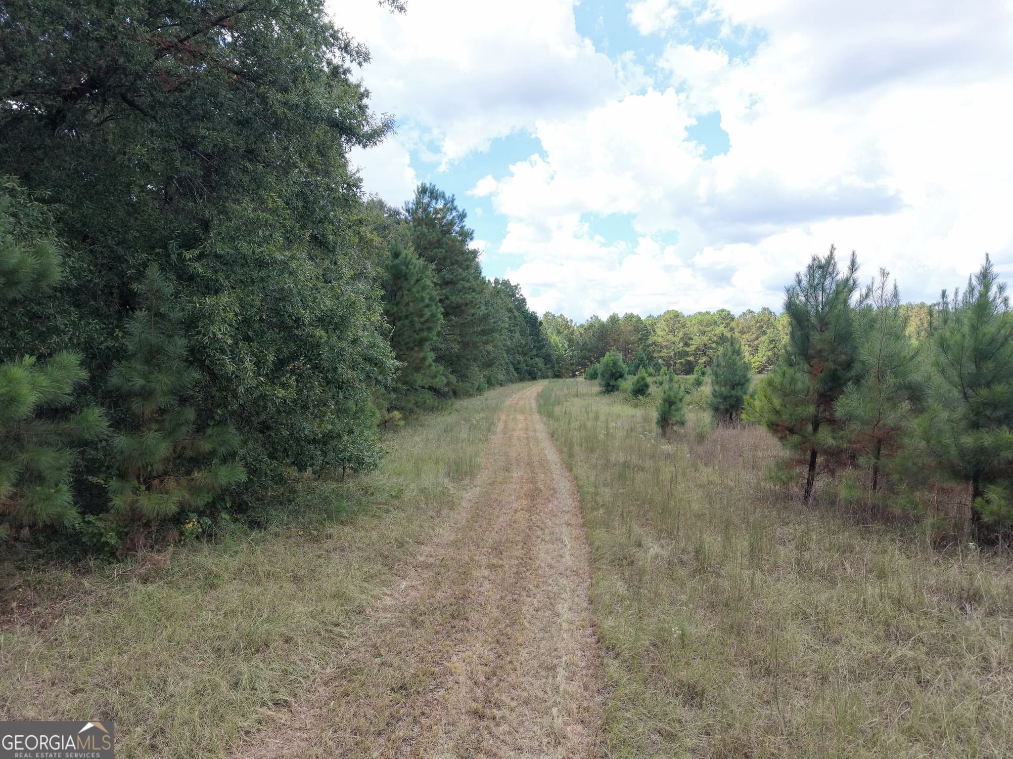 3 bedroom, 2 bathroom, 1,482 sq ft single family residence under contract at 2107 Hwy 15, Sandersville, GA 31082 — photo 9