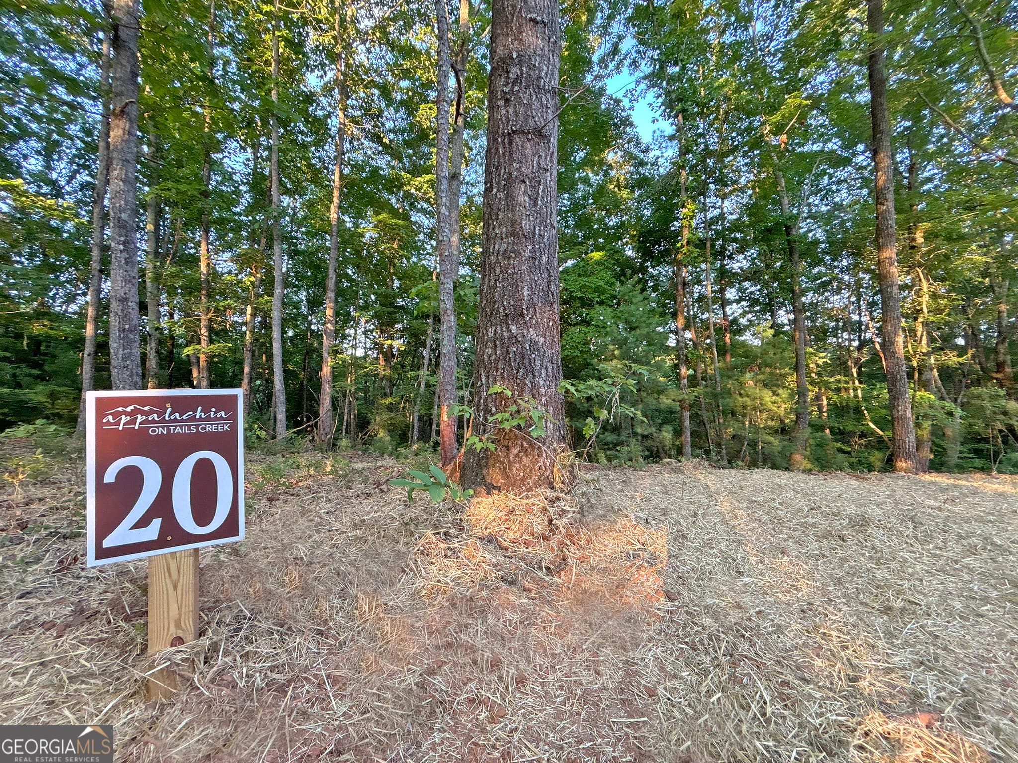 residential lot for sale at LOT 20 Mt Springer Road, Ellijay, GA 30540 — photo 2