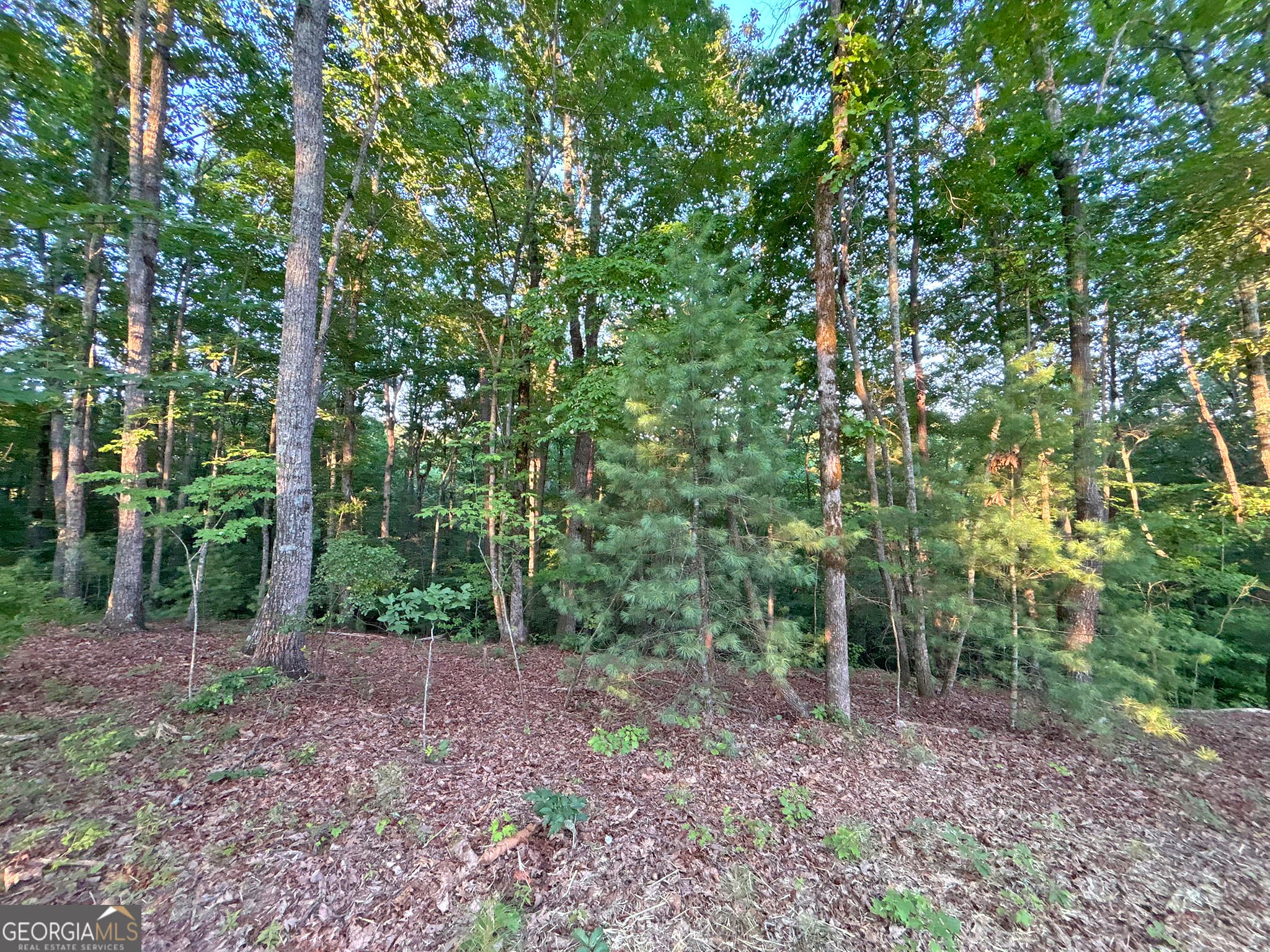 residential lot for sale at LOT 20 Mt Springer Road, Ellijay, GA 30540 — photo 6