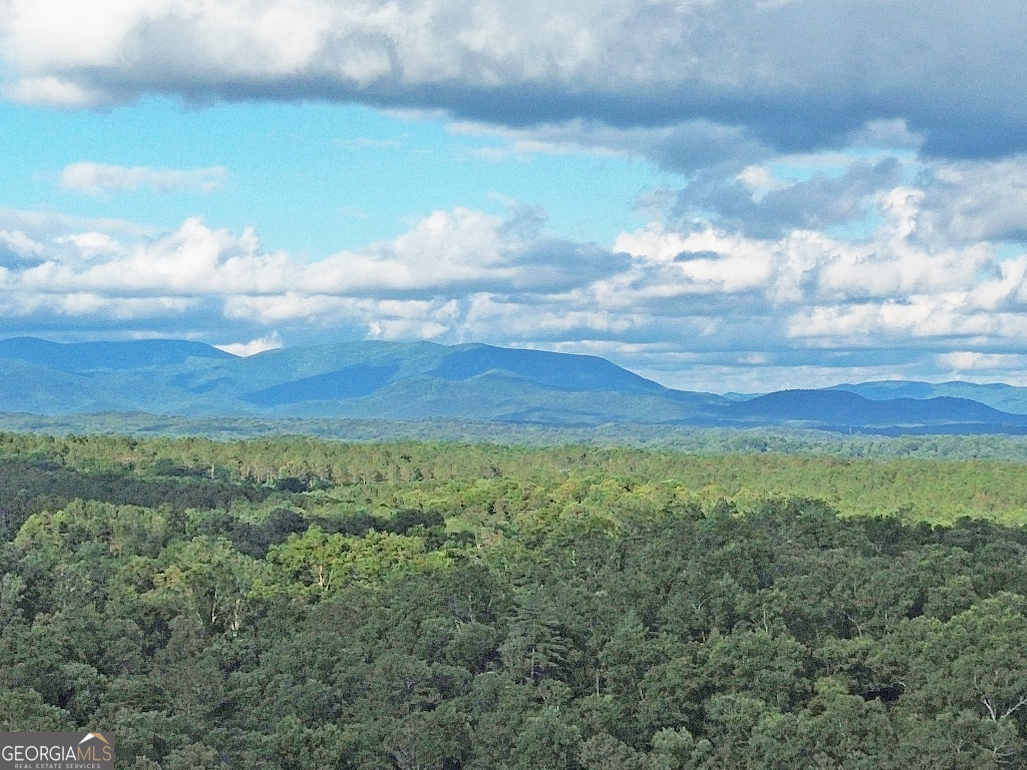 residential lot for sale at LOT 20 Mt Springer Road, Ellijay, GA 30540 — photo 1 of 32