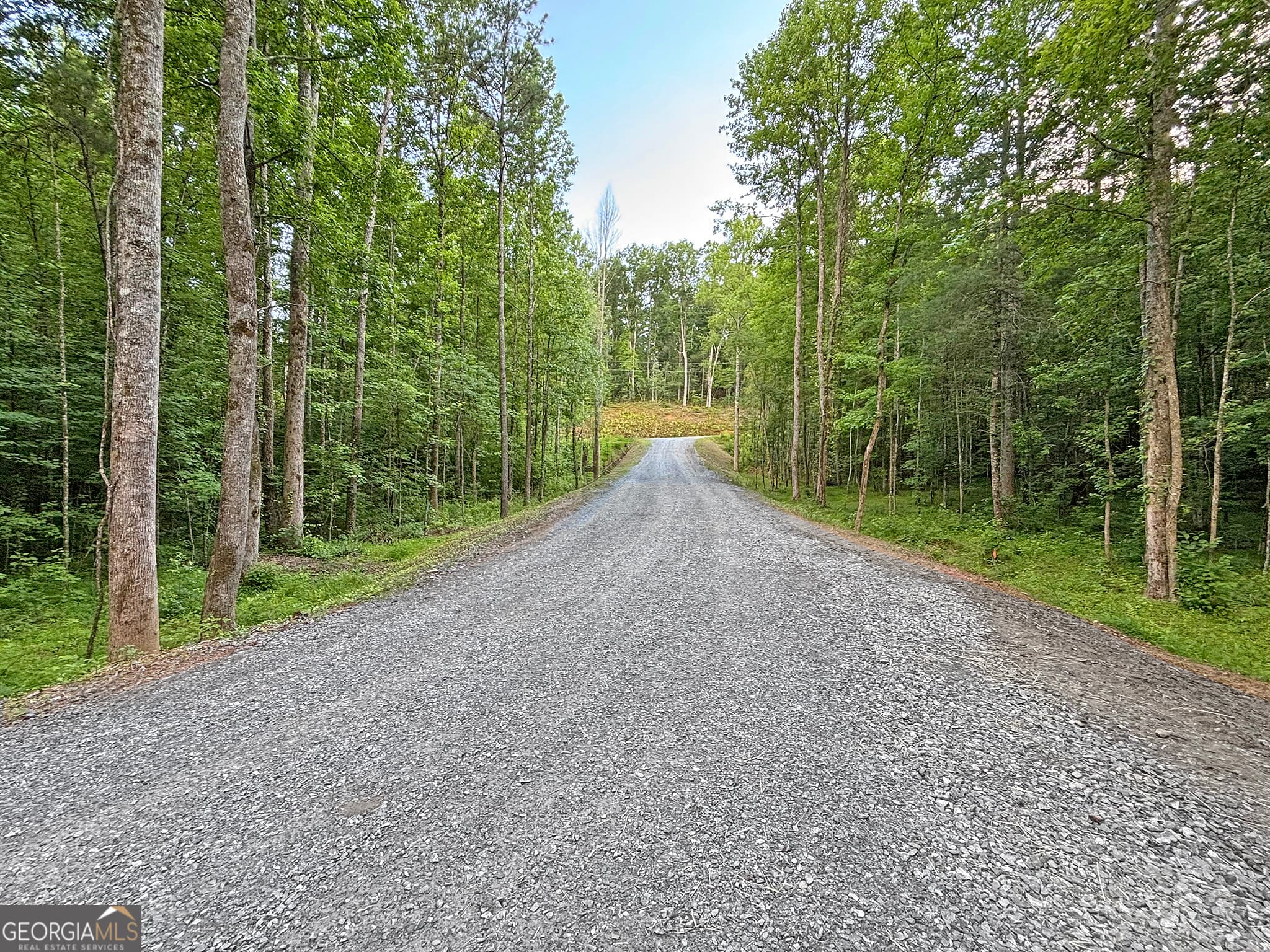 residential lot for sale at LOT 20 Mt Springer Road, Ellijay, GA 30540 — photo 5