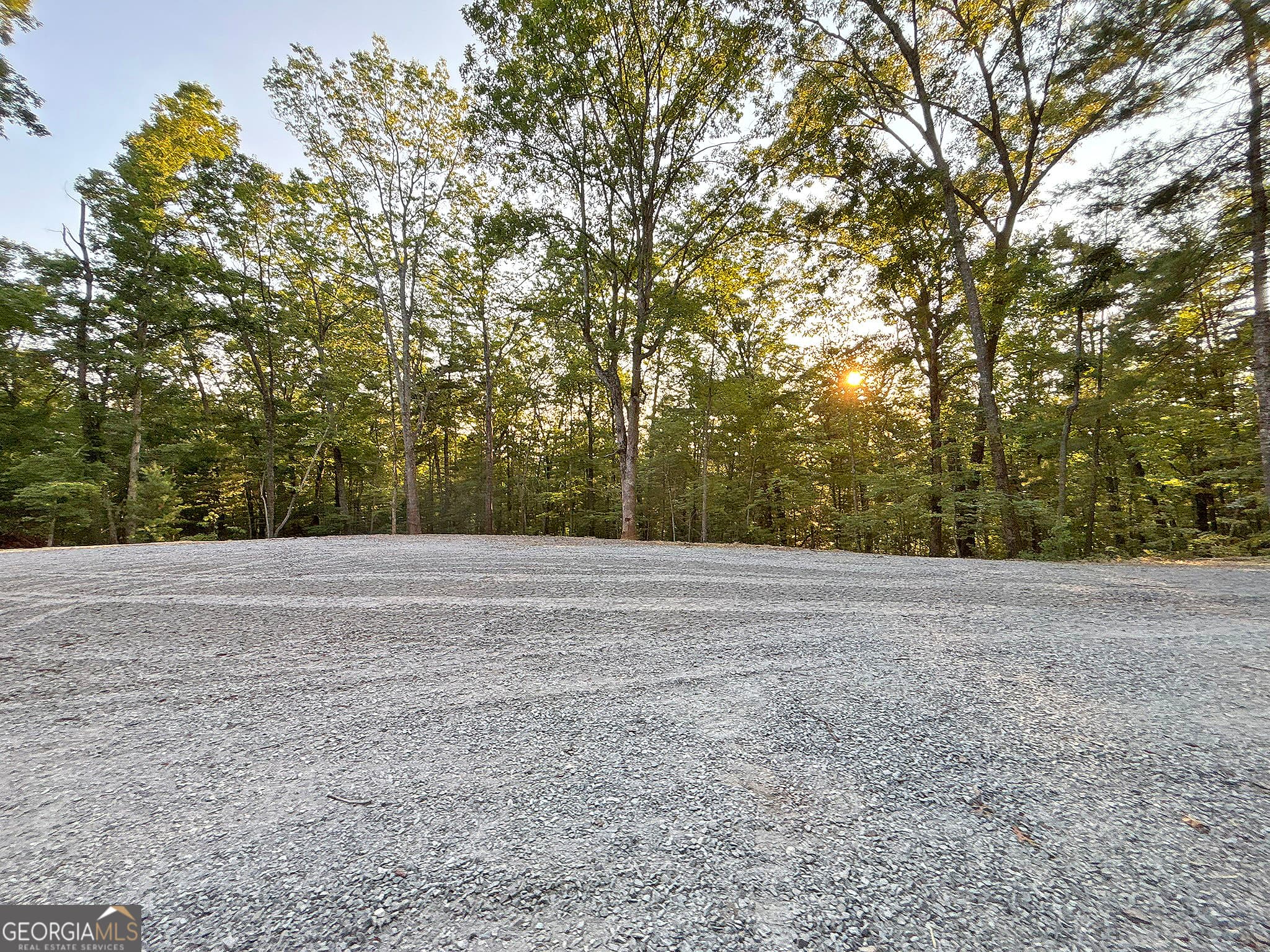 residential lot for sale at LOT 20 Mt Springer Road, Ellijay, GA 30540 — photo 10