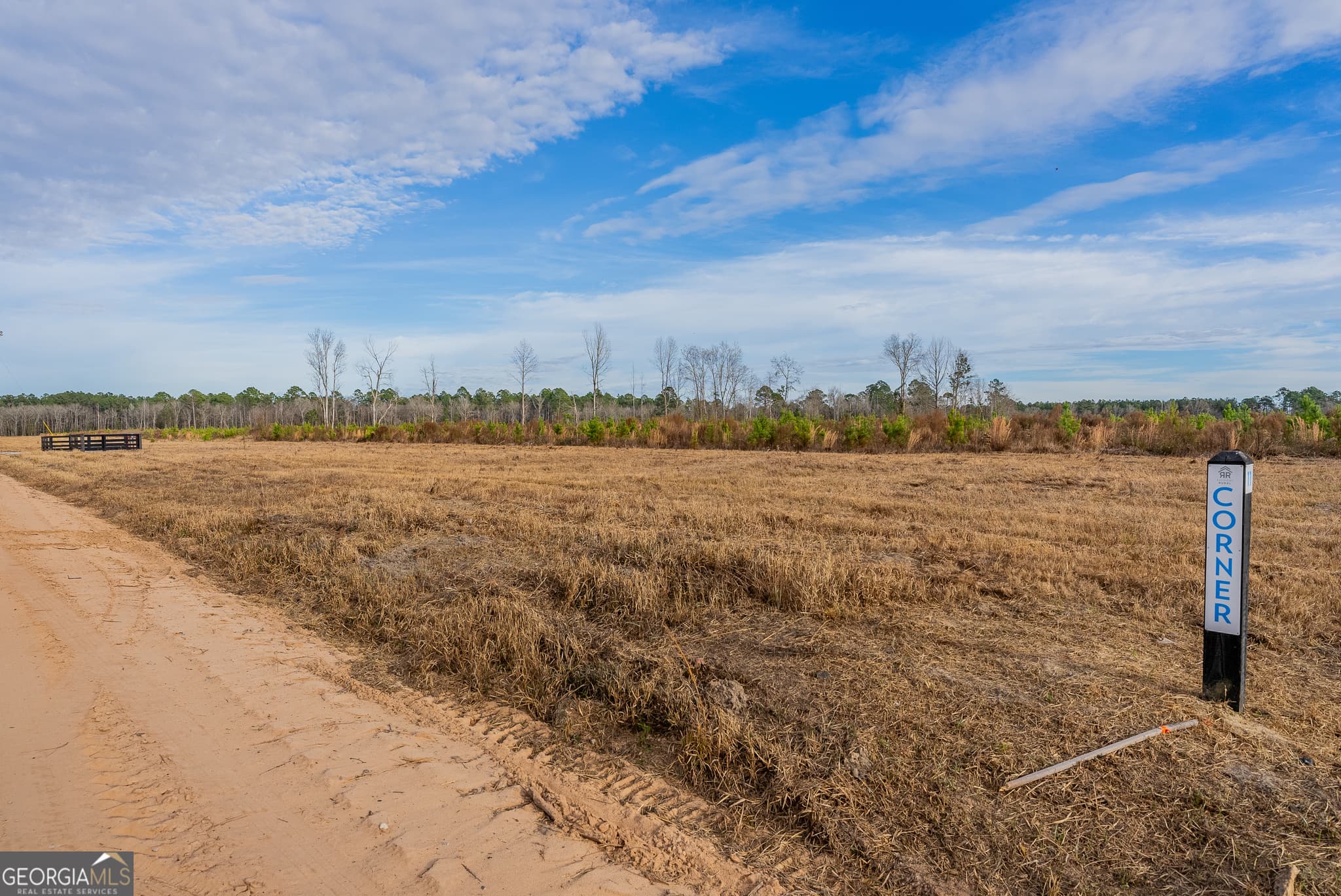 agriculture for sale at LOT 10 Arcola Road, Brooklet, GA 30415 — photo 2