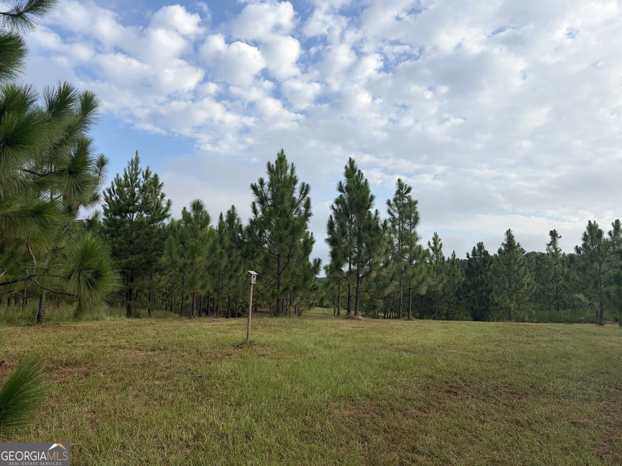 unimproved land for sale at 0 Oak Grove Road, Pine Mountain, GA 31822 — photo 7
