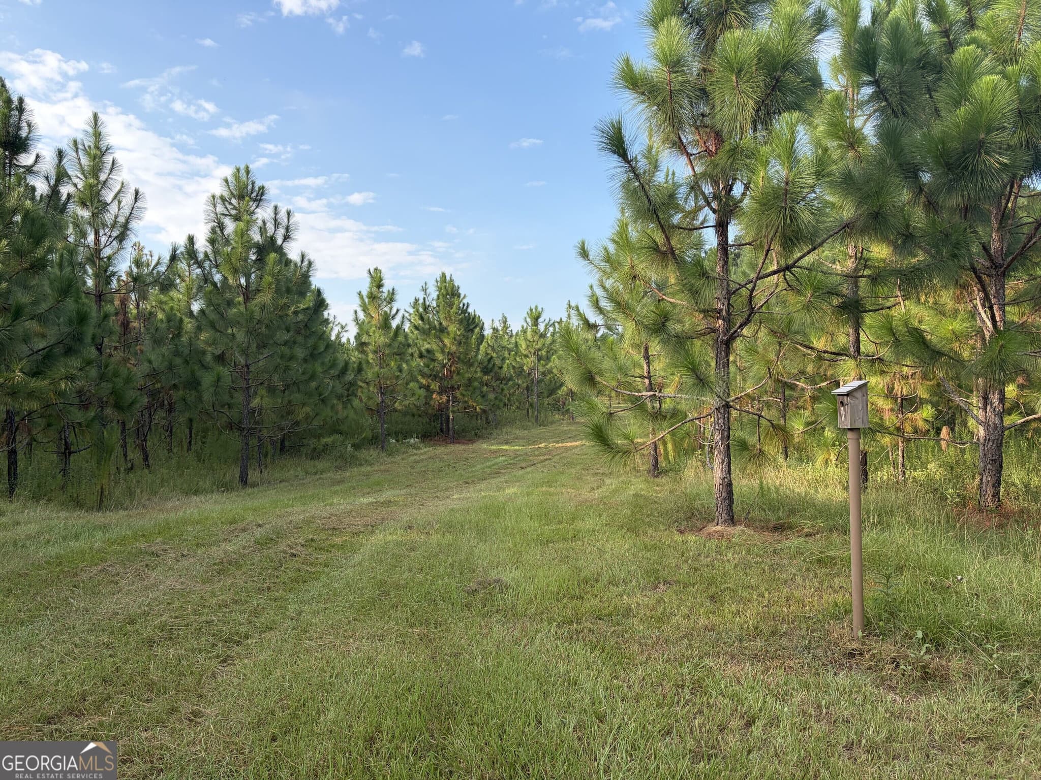 unimproved land for sale at 0 Oak Grove Road, Pine Mountain, GA 31822 — photo 5