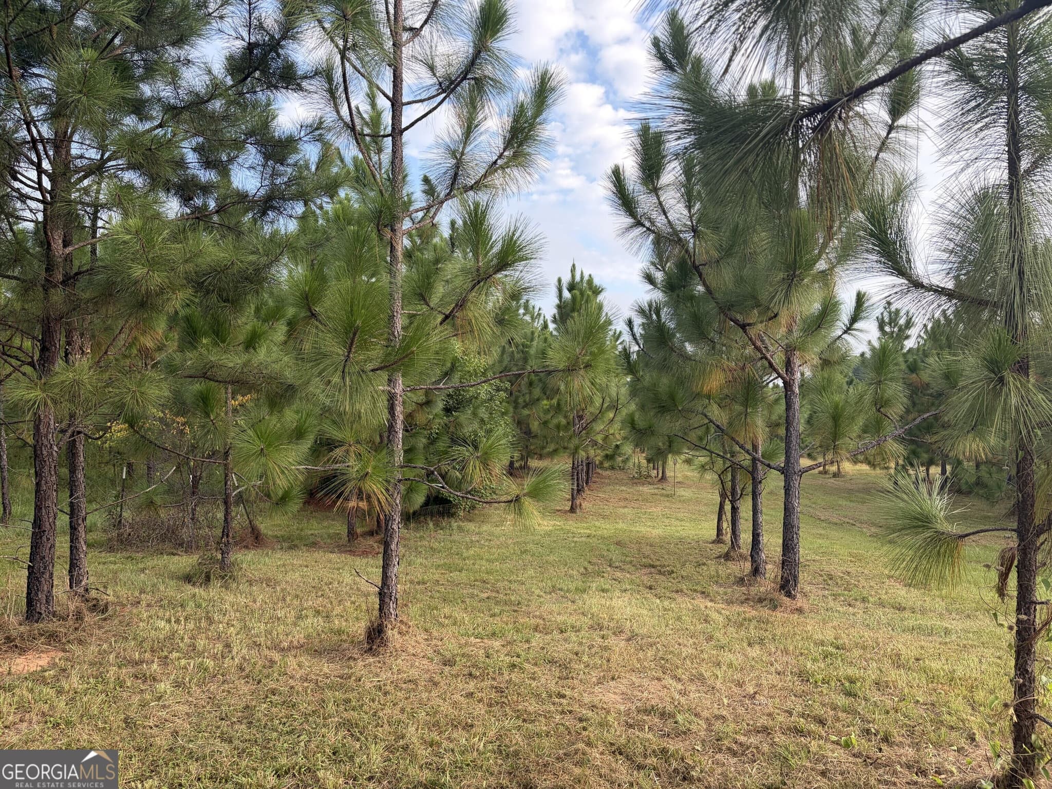 unimproved land for sale at 0 Oak Grove Road, Pine Mountain, GA 31822 — photo 9