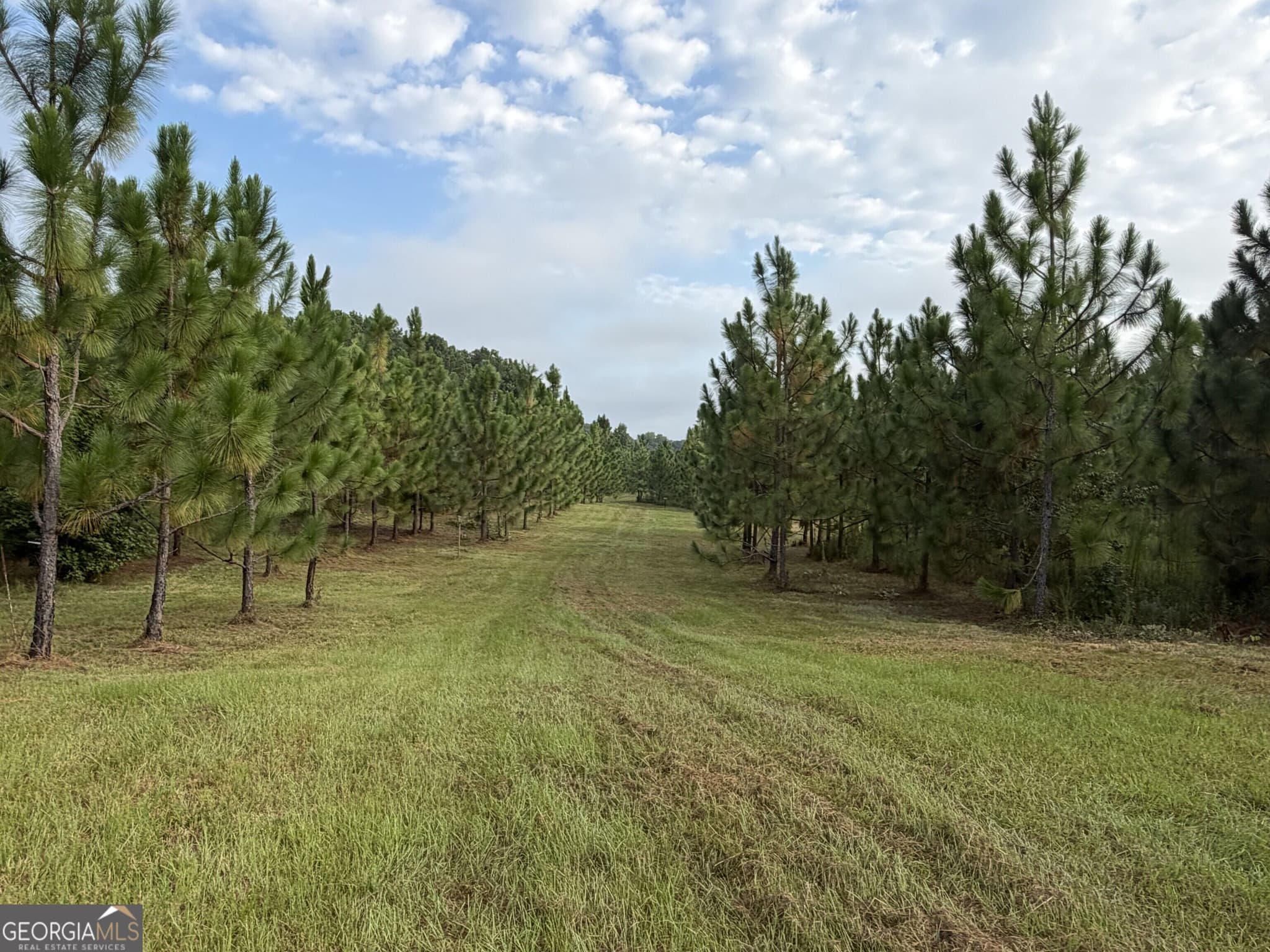 unimproved land for sale at 0 Oak Grove Road, Pine Mountain, GA 31822 — photo 10