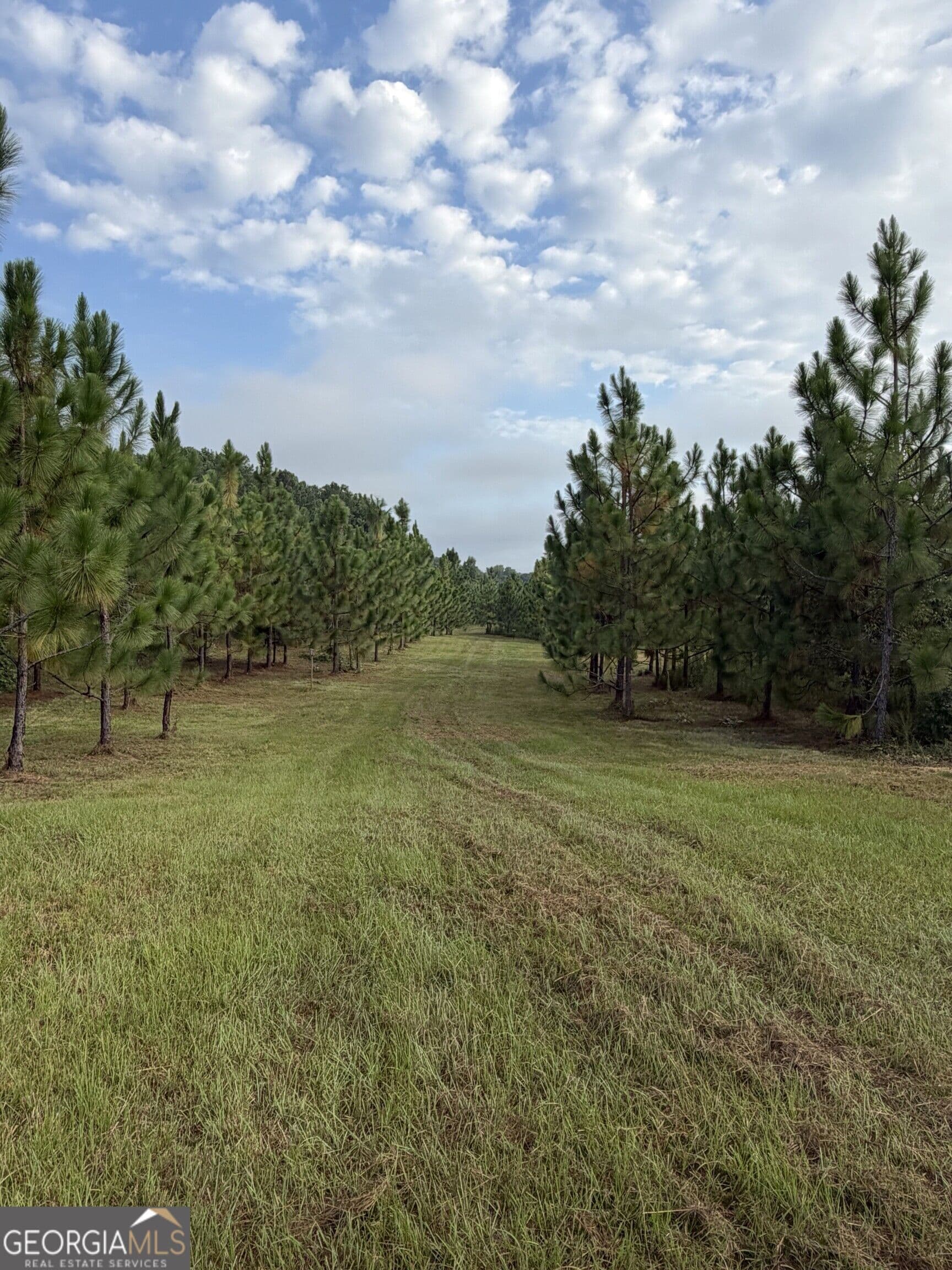 unimproved land for sale at 0 Oak Grove Road, Pine Mountain, GA 31822 — photo 4