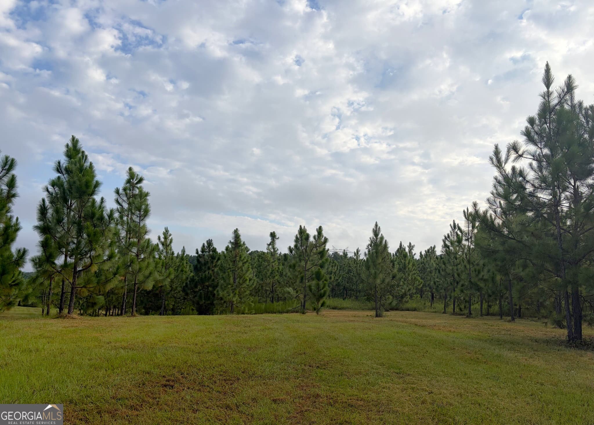 unimproved land for sale at 0 Oak Grove Road, Pine Mountain, GA 31822 — photo 8