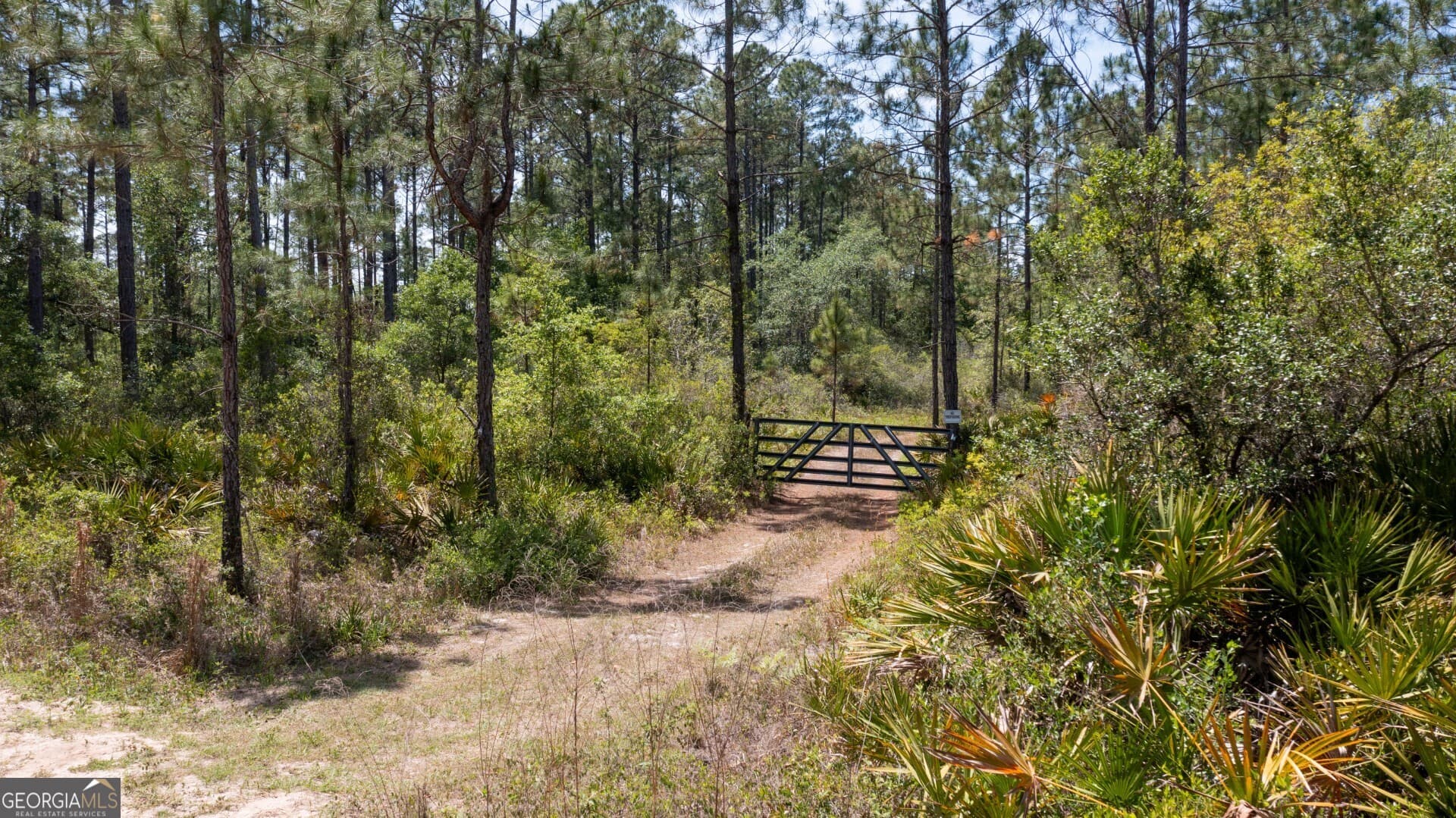 agriculture for sale at 779 Ralph Davis Road 1 LAND LOT, Folkston, GA 31537 — photo 2