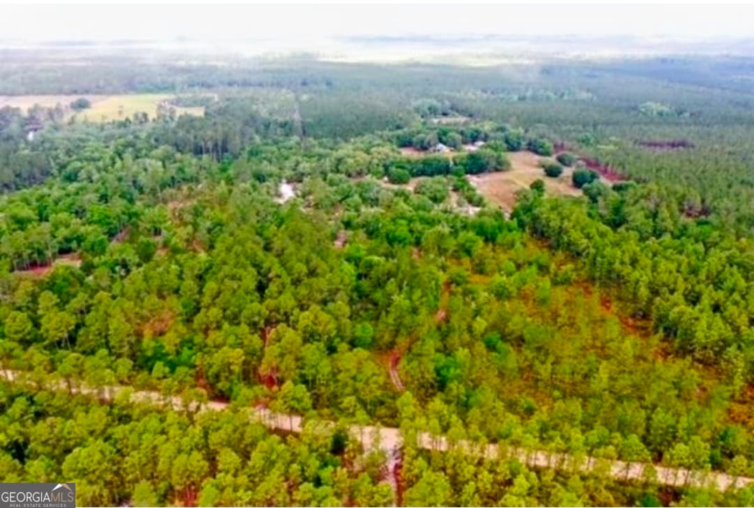 agriculture for sale at 779 Ralph Davis Road 1 LAND LOT, Folkston, GA 31537 — photo 7
