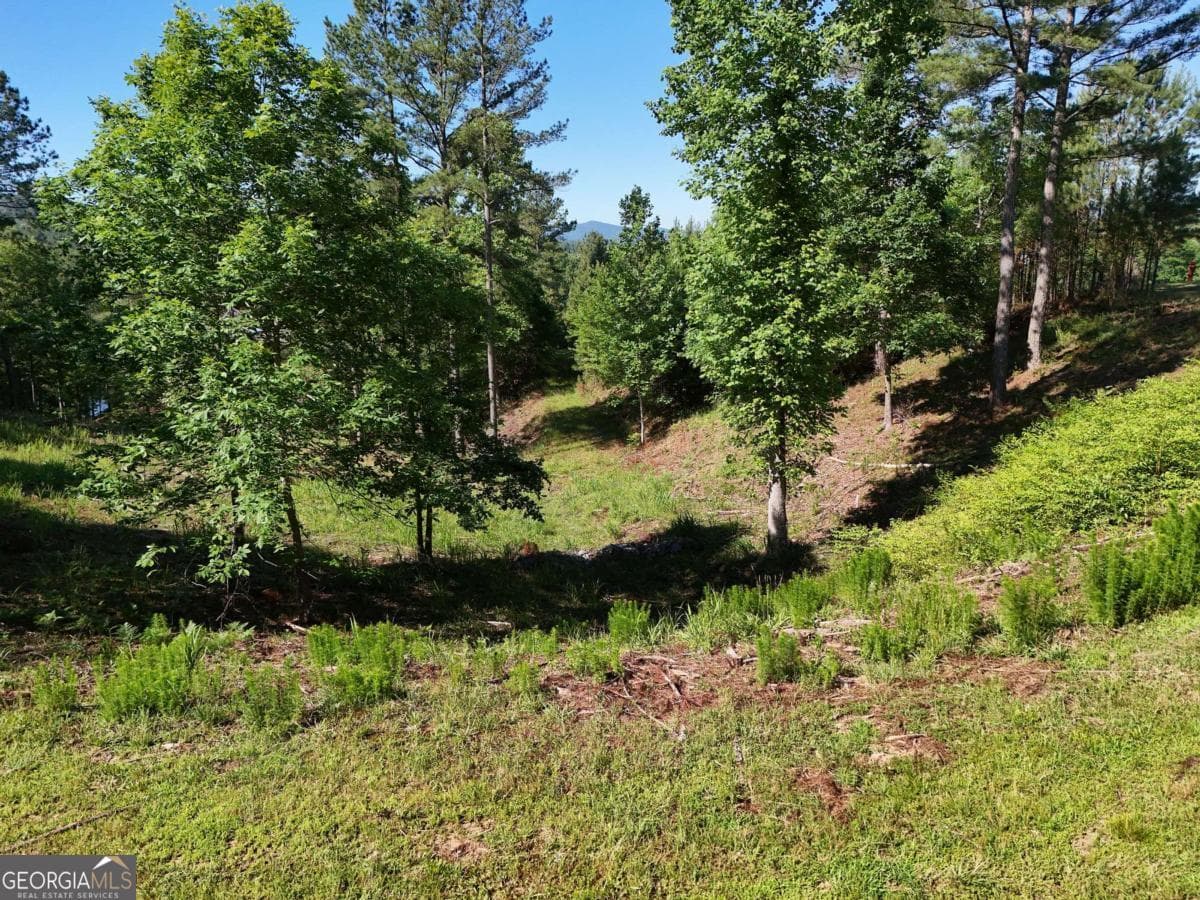 residential lot for sale at LOT 2 Big Knoll Drive 2, Blairsville, GA 30512 — photo 5