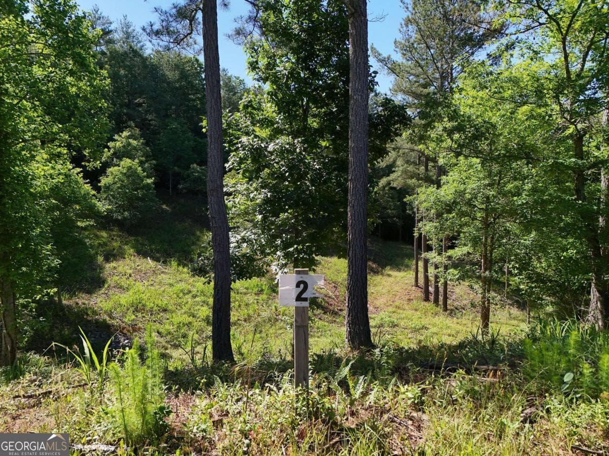 residential lot for sale at LOT 2 Big Knoll Drive 2, Blairsville, GA 30512 — photo 4