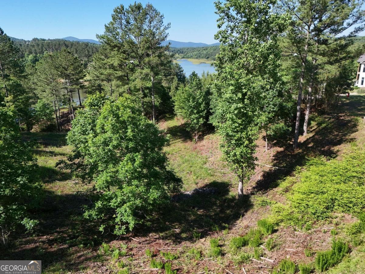residential lot for sale at LOT 2 Big Knoll Drive 2, Blairsville, GA 30512 — photo 8