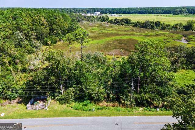 residential lot for sale at LOT 26C Washington Street, St. Marys, GA 31558 — photo 2