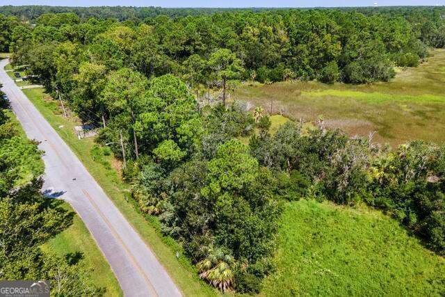 residential lot for sale at LOT 26C Washington Street, St. Marys, GA 31558 — photo 3