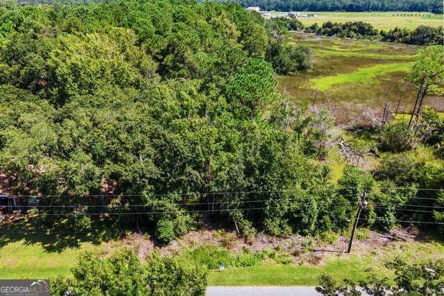 residential lot for sale at LOT 26C Washington Street, St. Marys, GA 31558 — photo 4