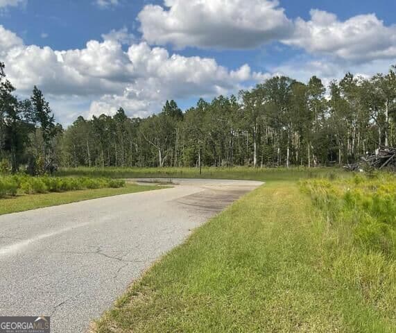 residential lot for sale at 0 Colt Court, Vidalia, GA 30474 — photo 3
