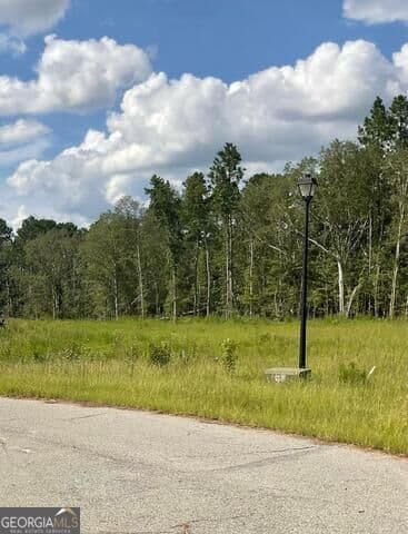 residential lot for sale at 0 Colt Court, Vidalia, GA 30474 — photo 1 of 5