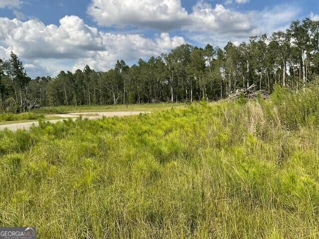 residential lot for sale at 0 Colt Court, Vidalia, GA 30474 — photo 4